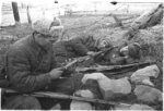 Производство и продажа Шапка-ушанка обр.1940 г. (цыгейская овчина) M3-023-G с доставкой по всему миру